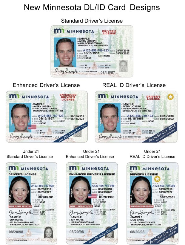 Dmv mn license status